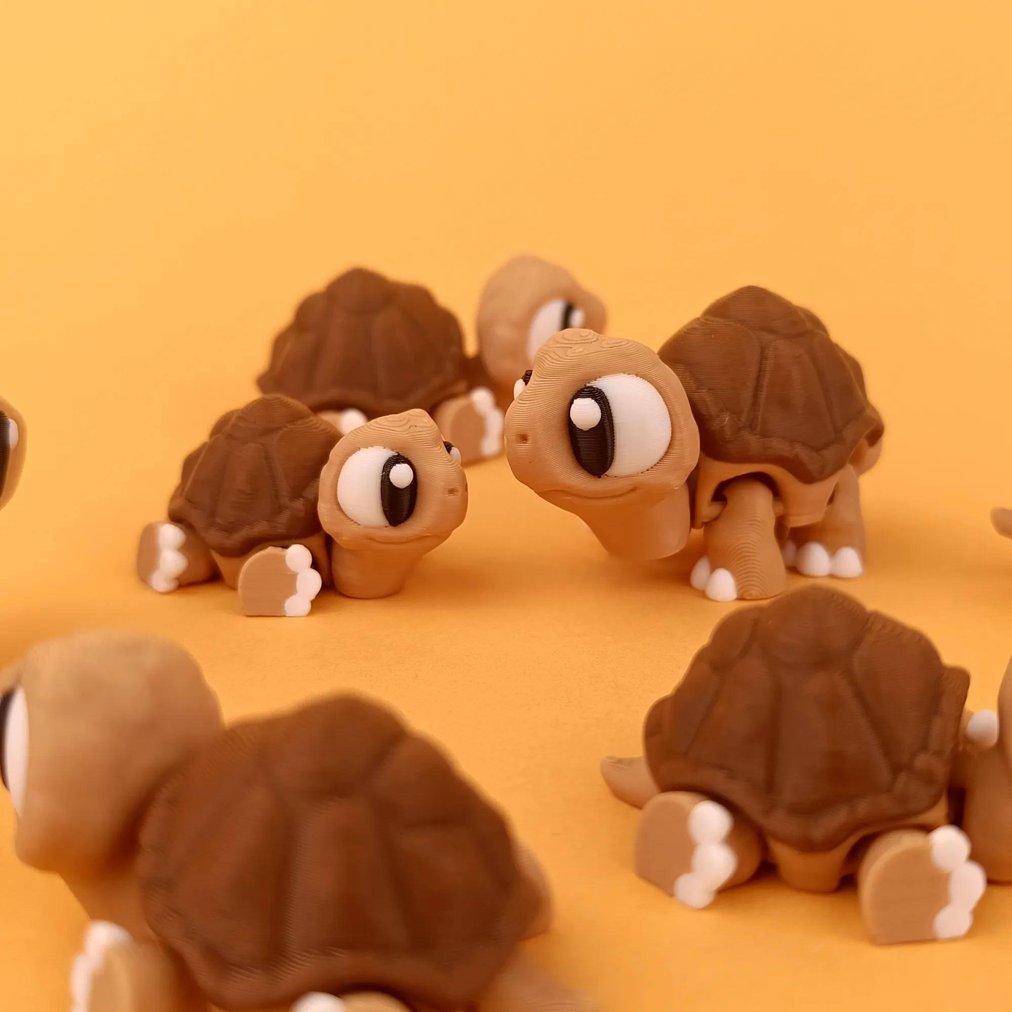 Animal world Renkli Kaplumbağa –